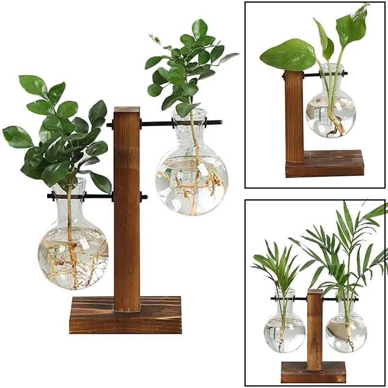 Terrarium Hydroponic Plant Vases