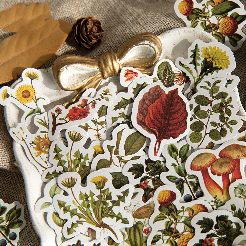 ✨ Transform Your Projects with Our Vintage Forest Plant Stickers! ✨