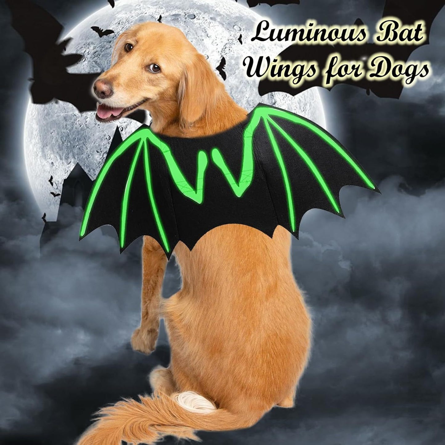 Mysterious Bat Wings Dog Halloween Costume🦇 – Let Your Pup Pinch the Spotlight! 🎃👻