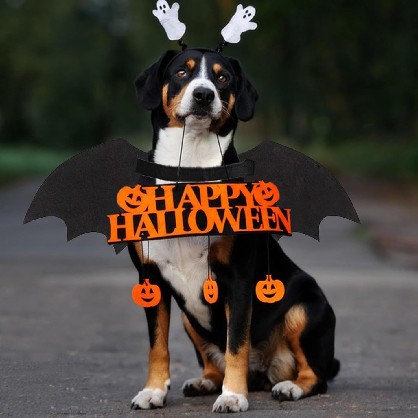 Dog Halloween Costumes Dog Bat Costume Cool Luminous Skeleton Bone Bat Wings Pets Cosplay Costumes Dress Up Apparel For Small Medium Large Cats And Dogs